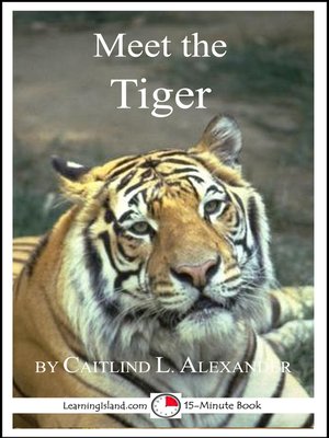 cover image of Meet the Tiger